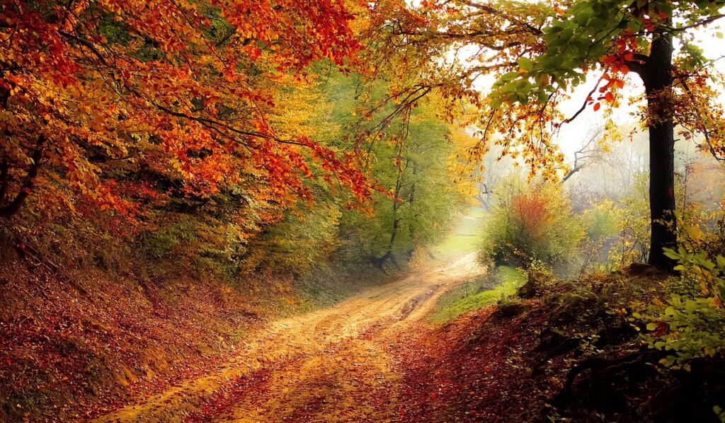 Herbst Natur Landschaft Atemberaubende Fotos im Herbst machen Tipps und Tricks