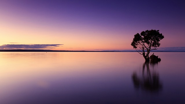 Sonnenuntergang Baum Wasser Natur